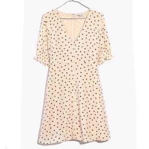 Madewell Strawberry Silk Dress